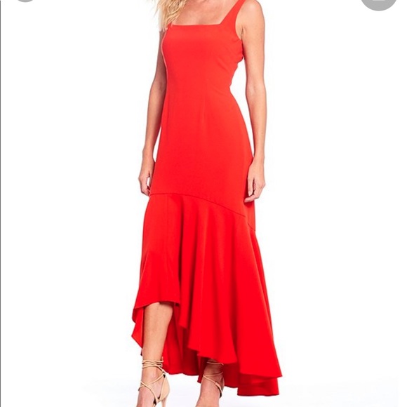 Gianni Bini Reid Tiger Fever Spice Maxi Dress - Picture 14 of 14